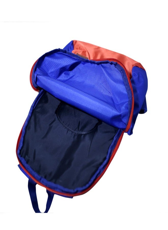 D'HIDES Mini Bag pack - Image 5